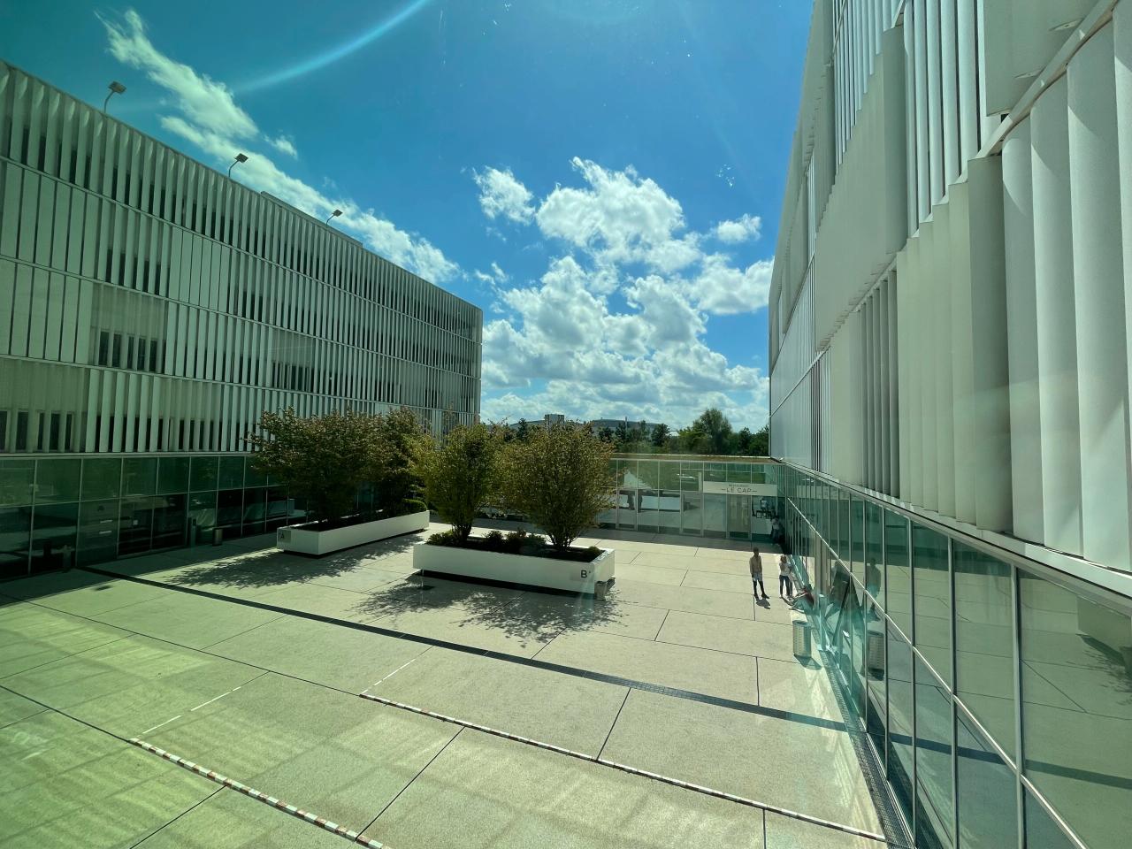 Bureau Blagnac 7981m² Location bureau Blagnac Haute-Garonne OLBUR2108339 15